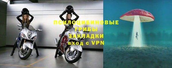 ALPHA-PVP Краснослободск